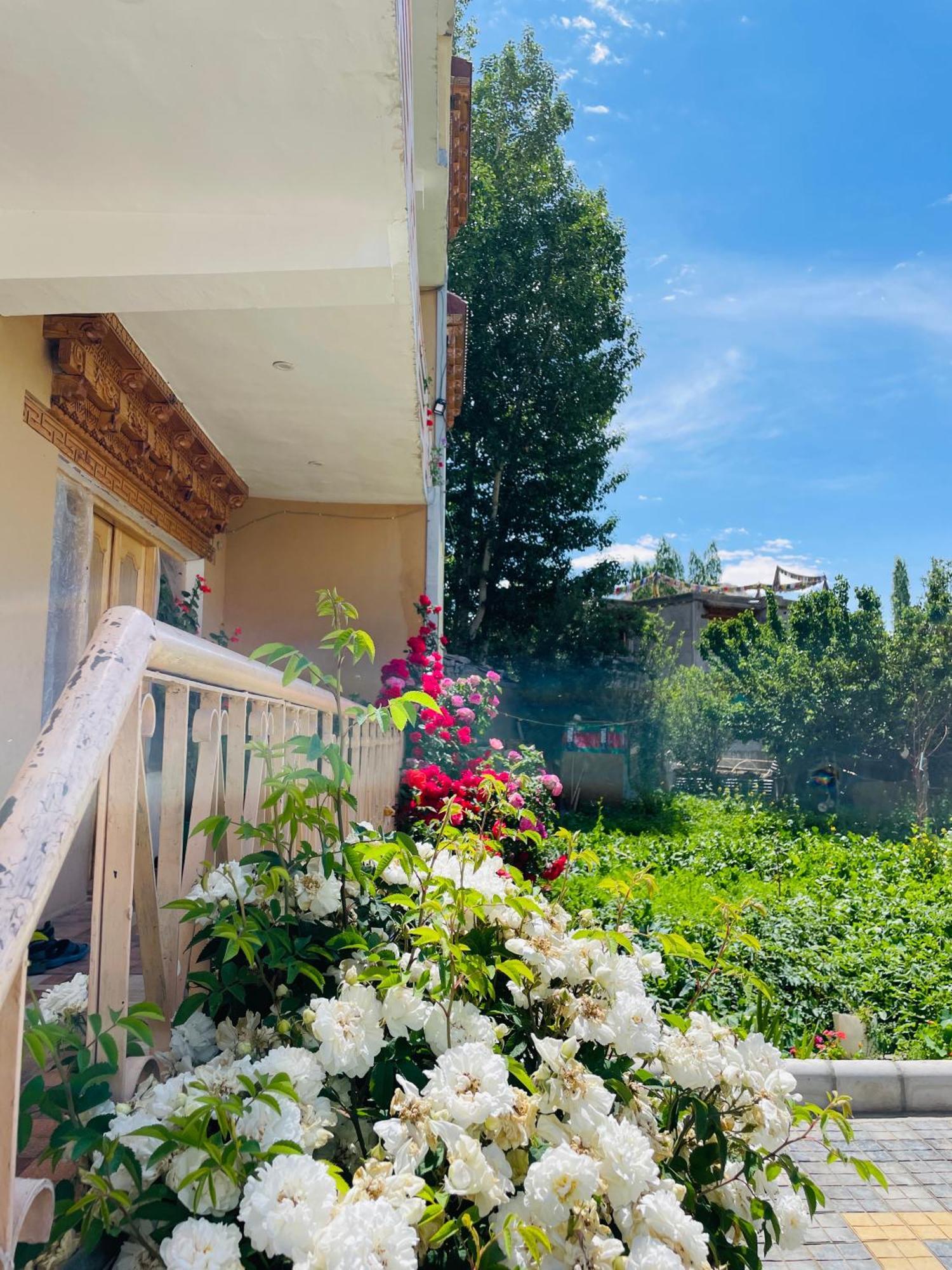 Zlatan Guest House Leh Ngoại thất bức ảnh